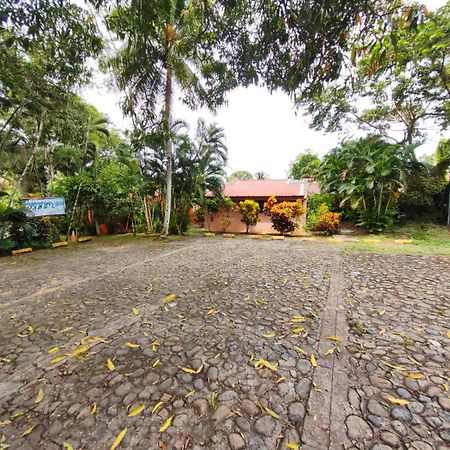 Bellus Hotel Izabal Castillo de San Felipe エクステリア 写真